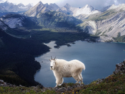 King Overlooking the Kingdom