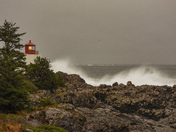 February west coast storms