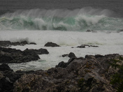 February west coast storms