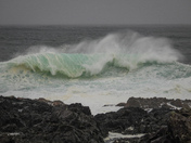 February west coast storms