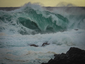 February west coast storms