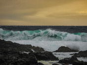 February west coast storms