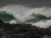 February west coast storms