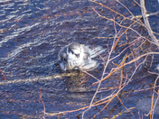 Come On In the Water's Fine!