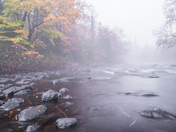 Foggy River 