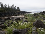 Ucluelet BC Beach