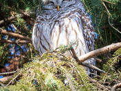 Catching rays on a cold winter day