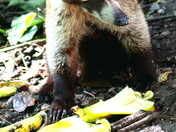 Celebrate by sharing a snack !