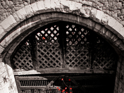 The poppies of The Tower of London