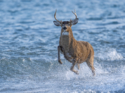 Someone's getting late for a date