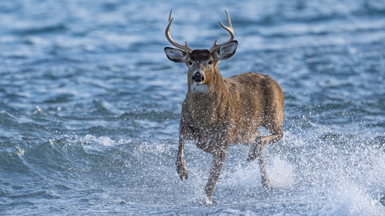 Someone's getting late for a date