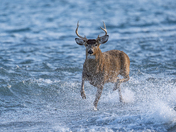 Someone's getting late for a date