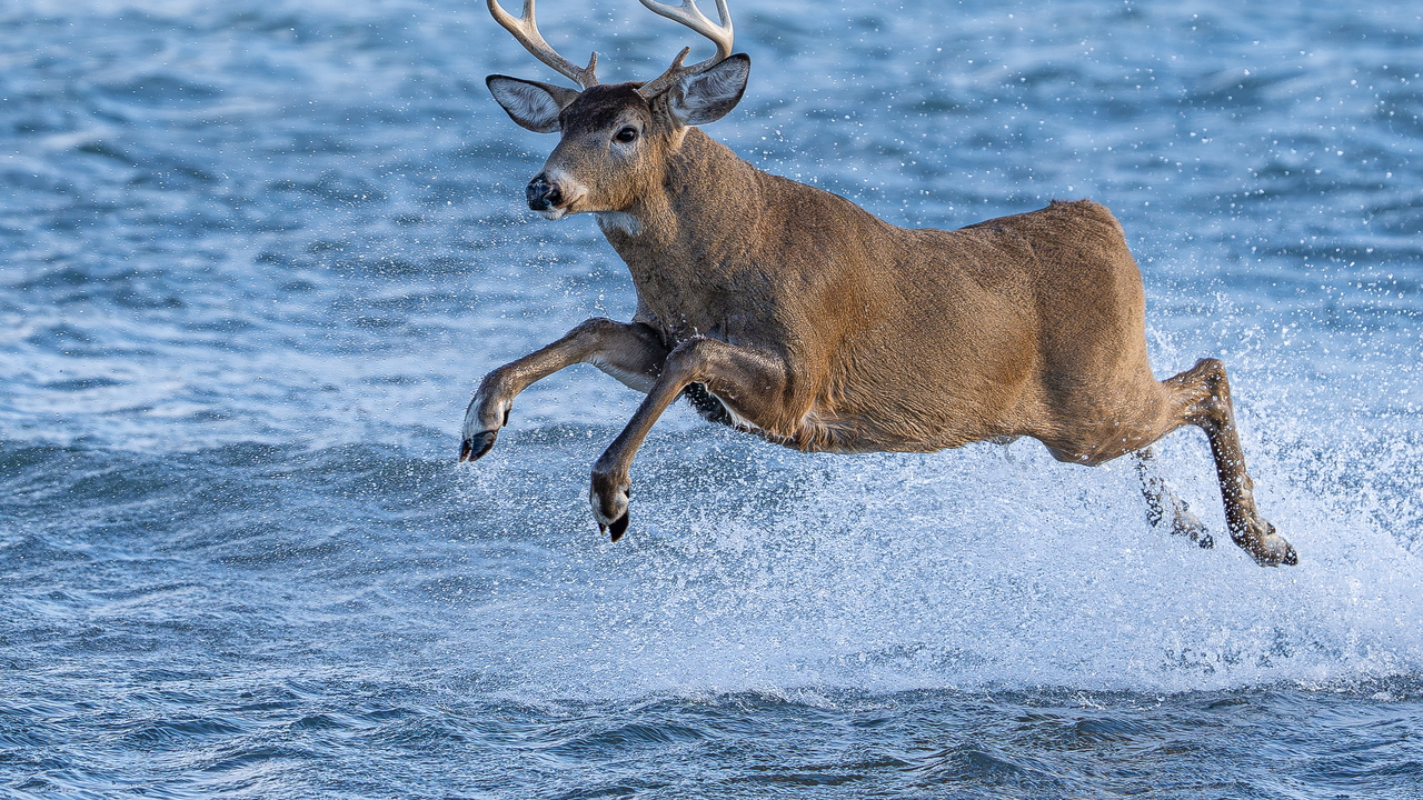 Someone's getting late for a date