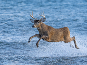 Someone's getting late for a date