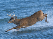 Someone's getting late for a date