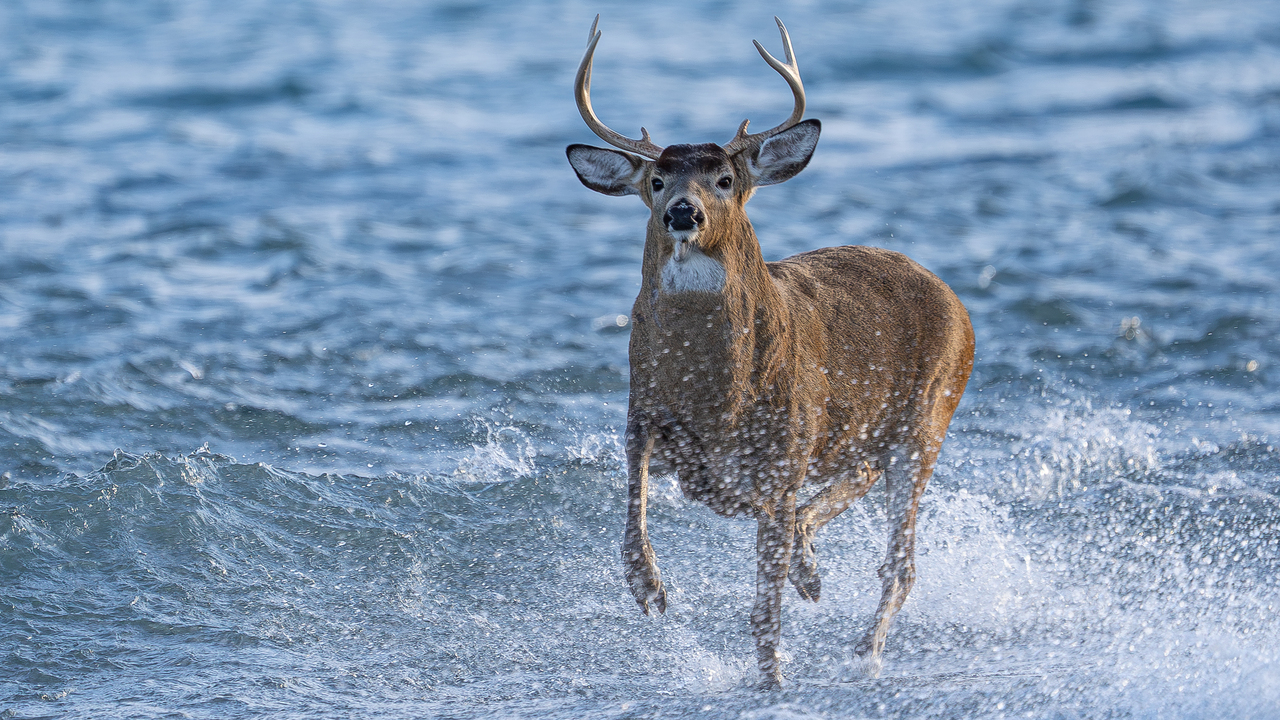 Someone's getting late for a date