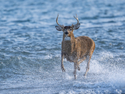 Someone's getting late for a date