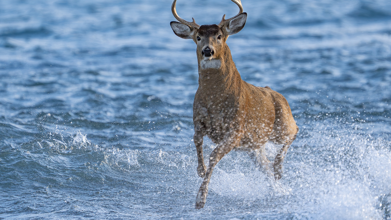 Someone's getting late for a date