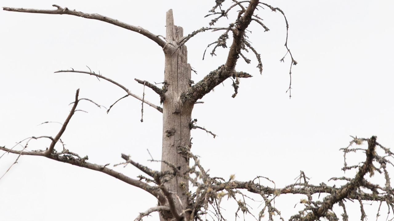 Working on future Generations 