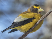 A Little YELLOW goes a LONGGG WAY!!!!