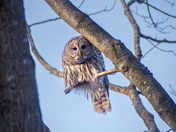 Please Prepare for Takeoff