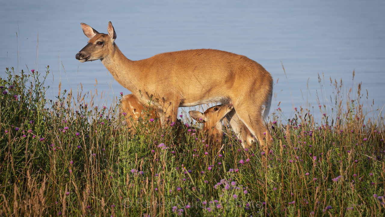 Mother Nature at work 