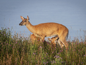 Mother Nature at work 