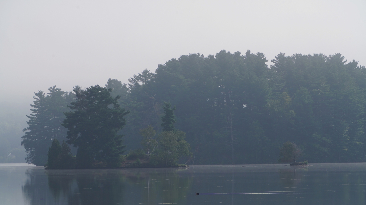 … with a dash of action