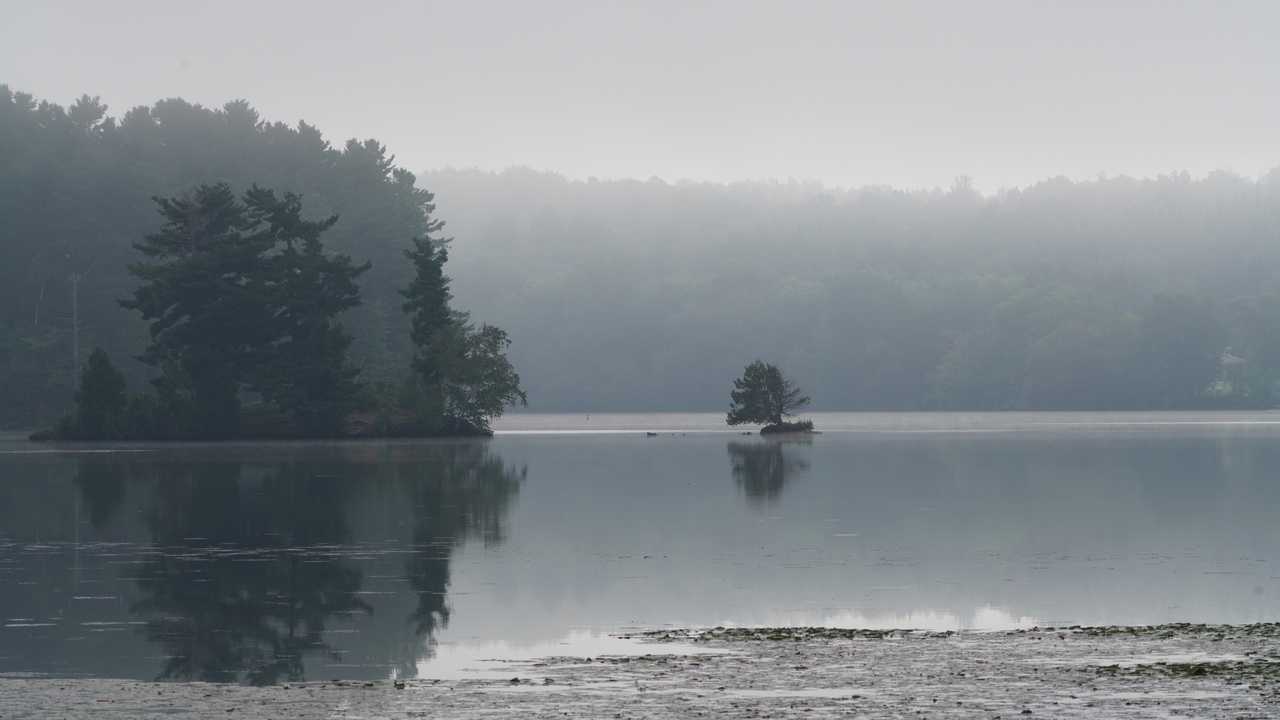Morning fog on the lake