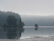 Morning fog on the lake