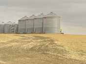 harvest leftovers IV