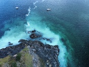 Herring spawn Vancouver Island