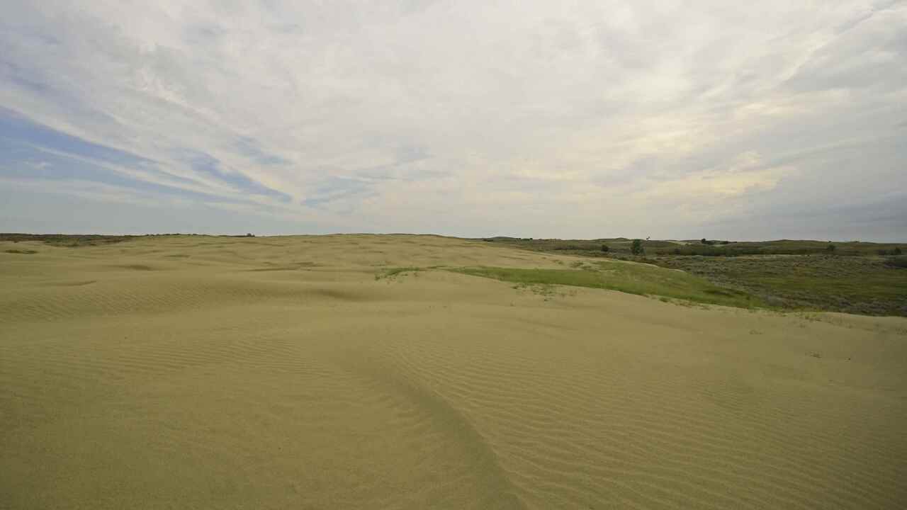 dunes under a big sky