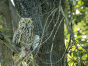 "You're disturbing my lunch time"