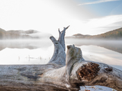 Tremblant in the FOG 