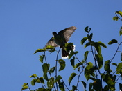 A very special lighting.