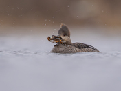 Hoodie with the catch