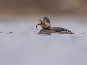 Hoodie with the catch