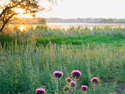 here comes the sun II