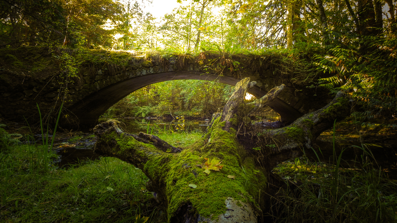 Old stone bridge 