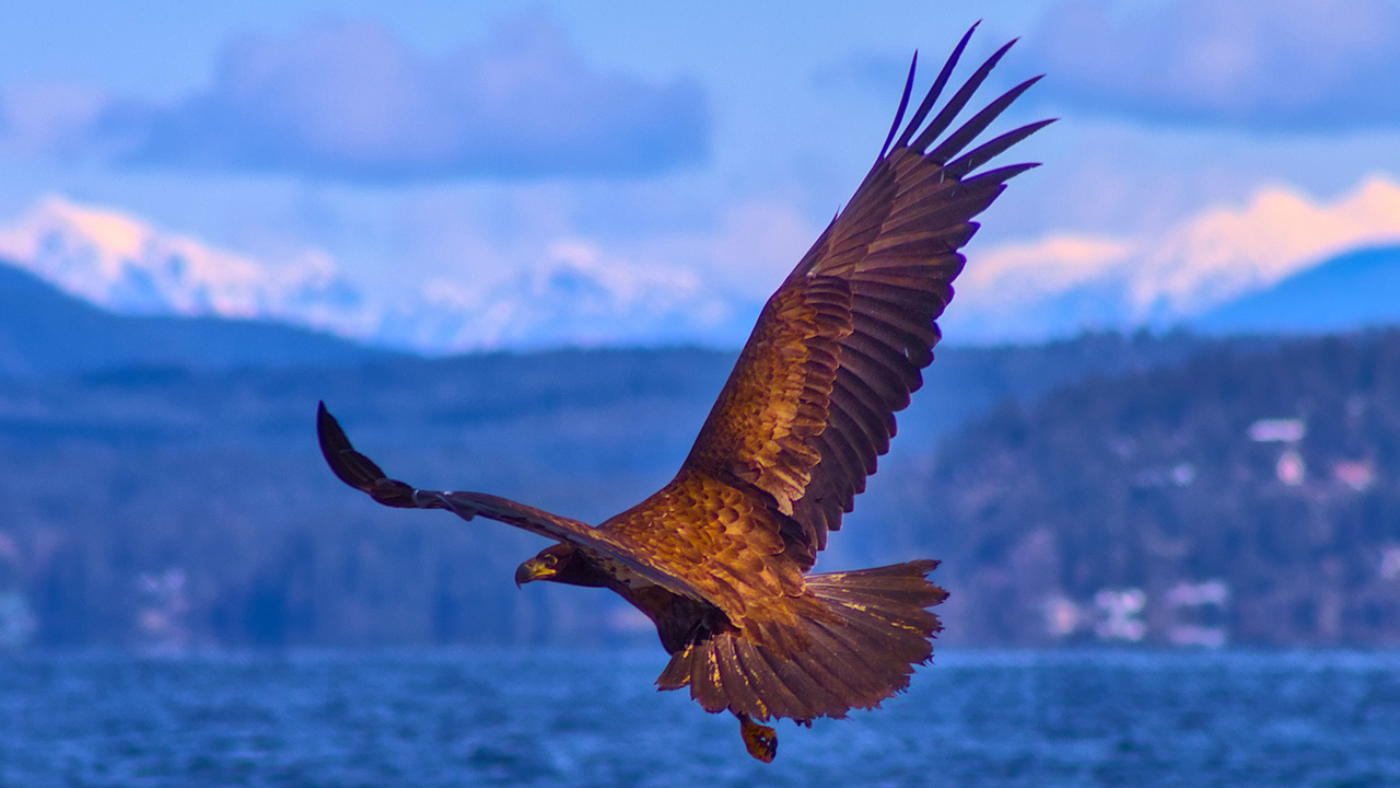 On the Georgia Strait