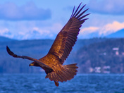 On the Georgia Strait