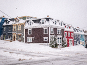 St. John's Winter