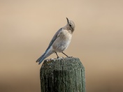 What About This Angle?