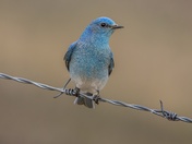 Careful Where You Land