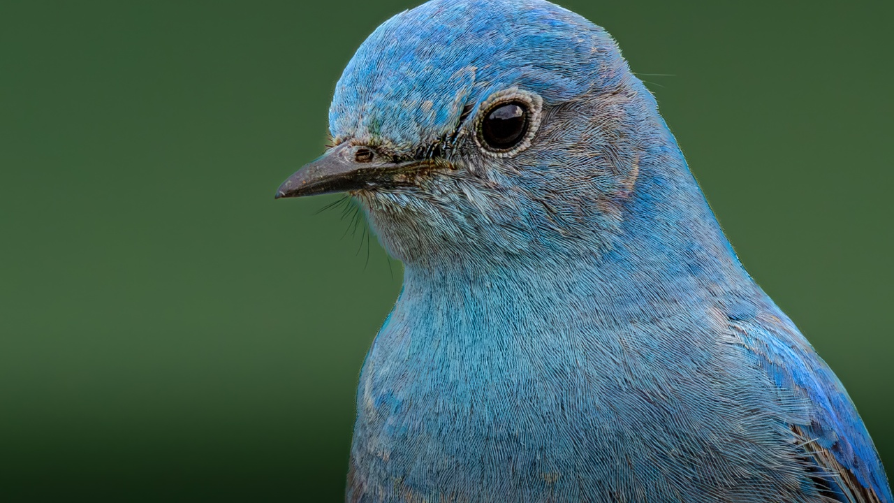 Ready For My Closeup