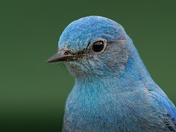 Ready For My Closeup