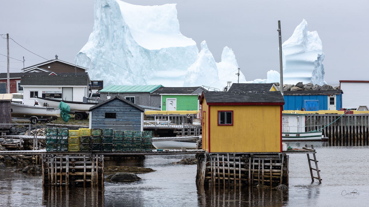 Ice Giant Over the Outports