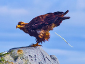 Documenting Behaviour ( 😁 )