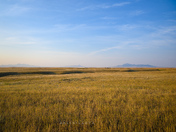 Pristine Prairie
